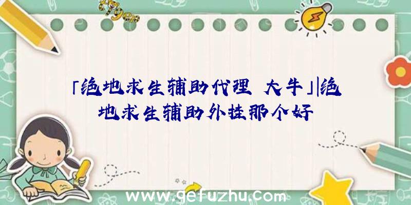 「绝地求生辅助代理